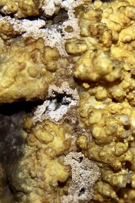 Tunnel de lave