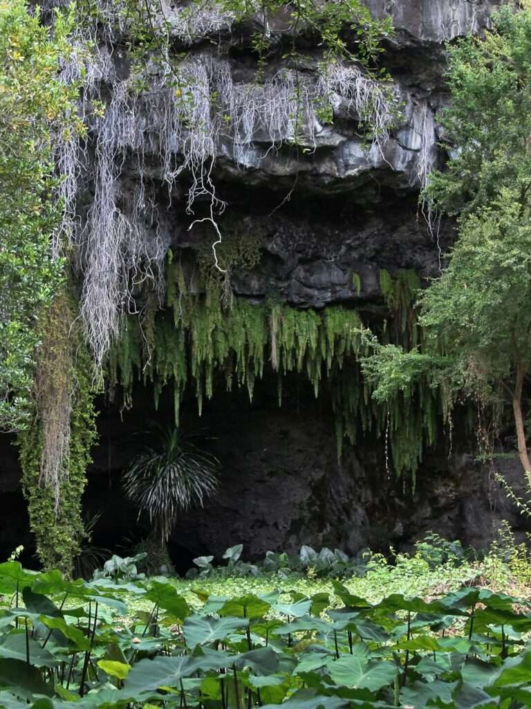 Grotte des Premiers Français
