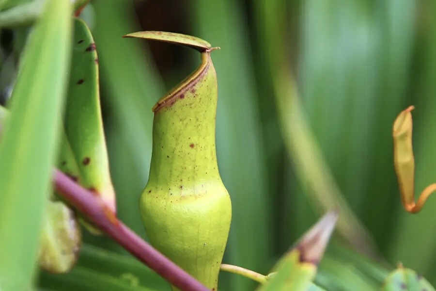 Voyage aux Seychelles: itinéraire et informations pratiques