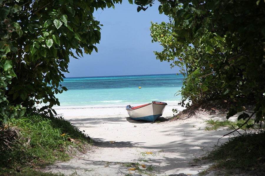 Que faire aux Seychelles avec enfants